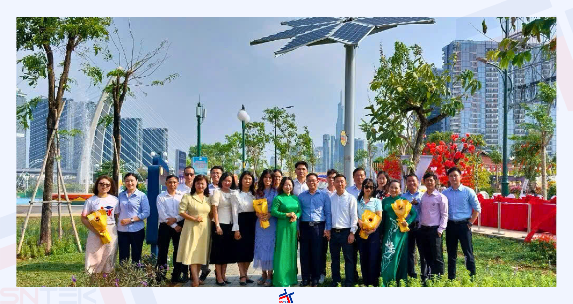 Cây hoa hướng dương